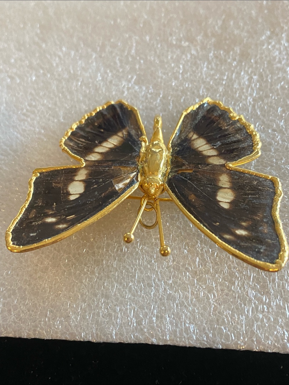 Gold Butterfly Brooch with Dark Brown and Cream Wings